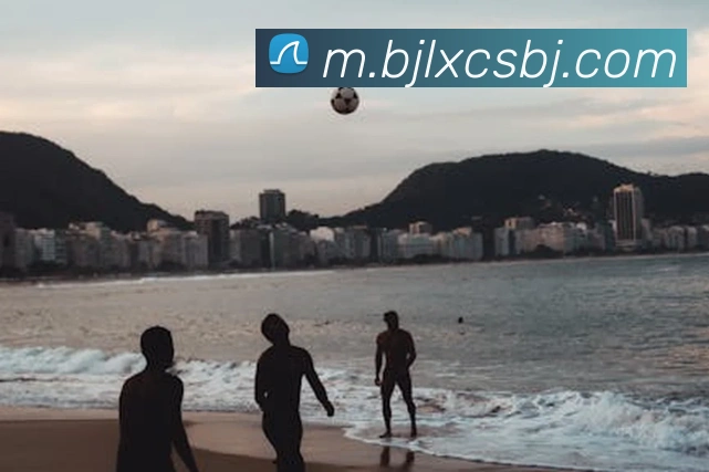 百家乐网站平台生态图