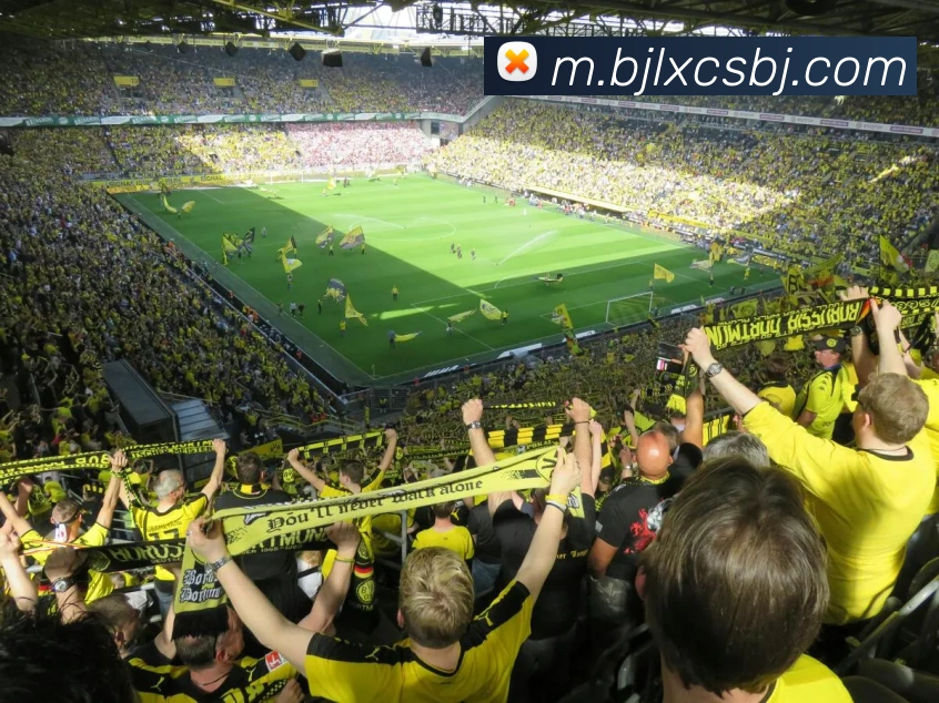 百家乐网站全站App